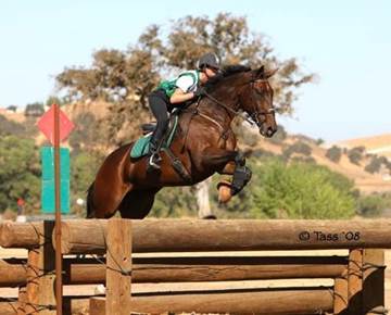 Lexi and “Vincent” owned by Karen Halverson